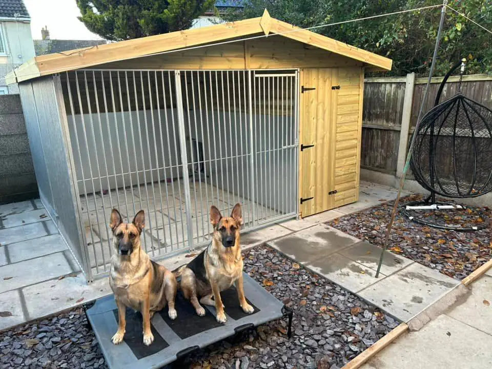 The Role of Kennels in Dog Training