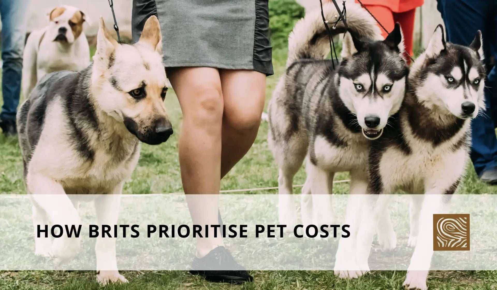 How Brits Prioritise Pet Costs