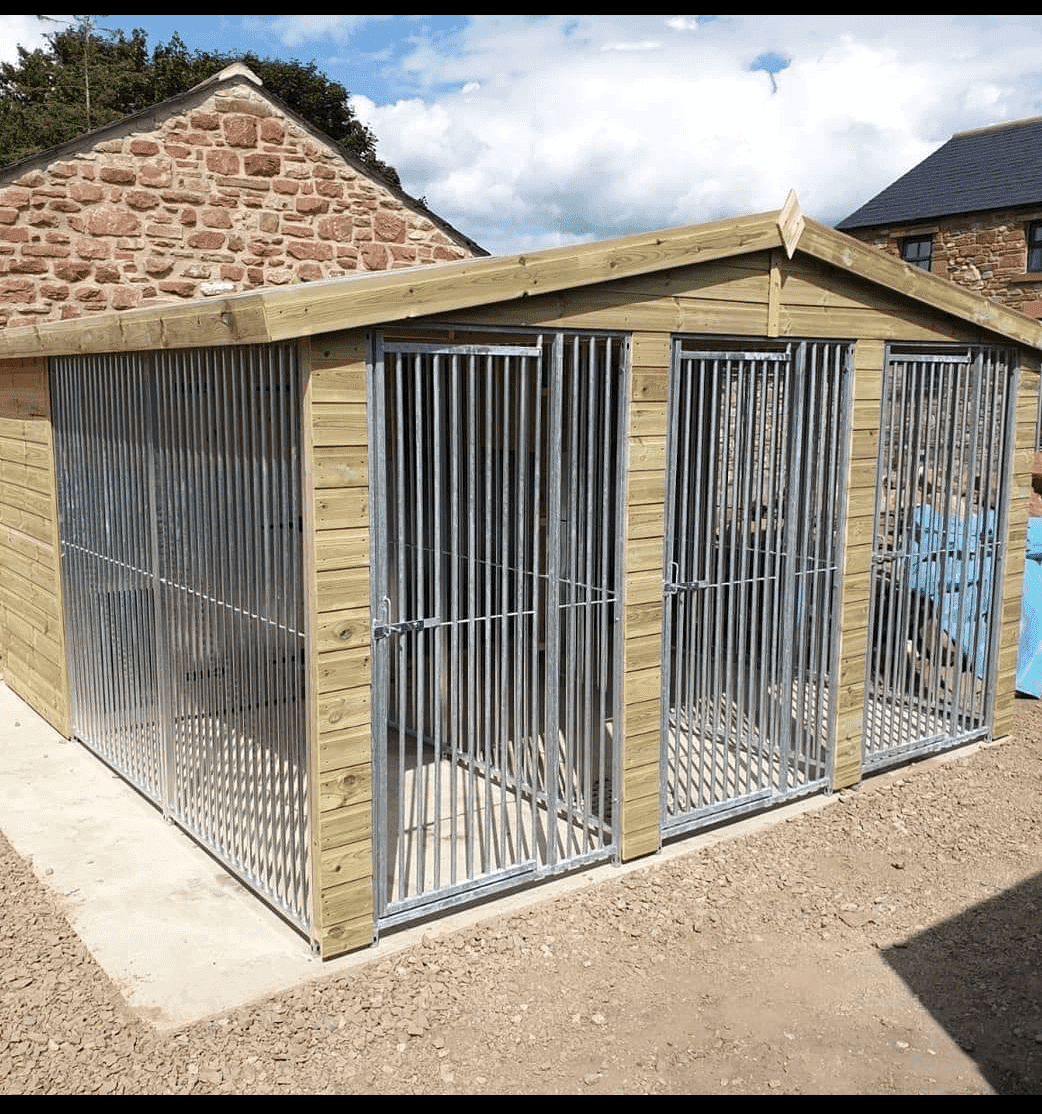12 X 12 ft Triple Dog Kennel