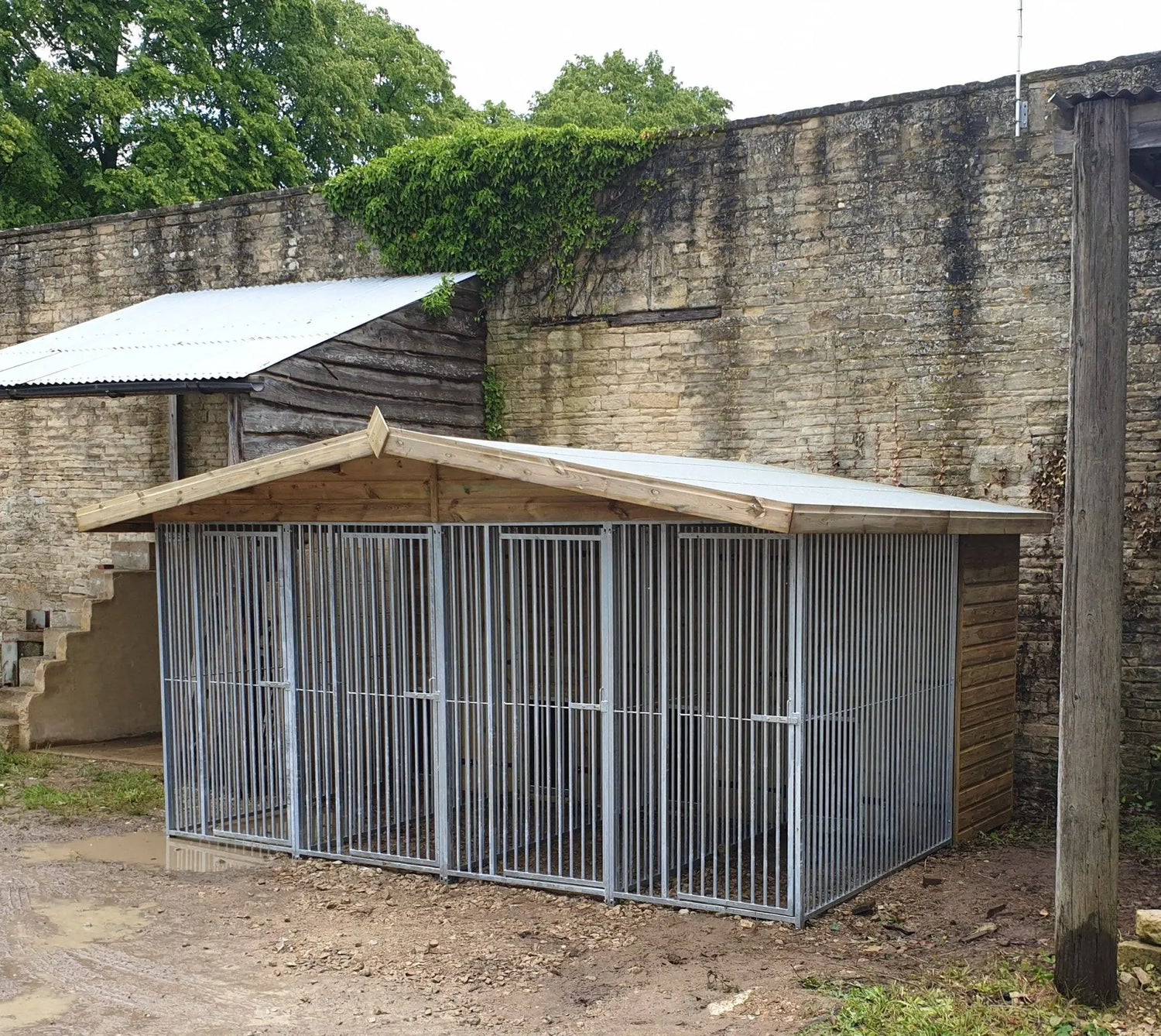 13 X 10 ft Four Bay Kennel