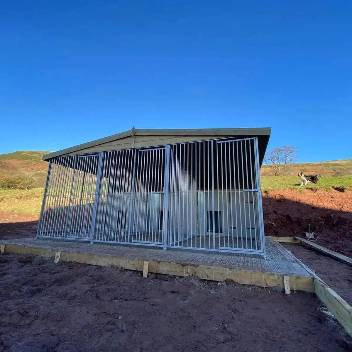 15 X 10 ft Triple Dog Kennel