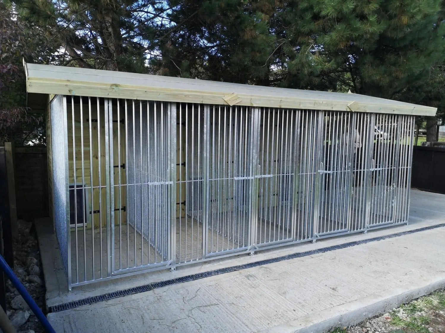 16.5 X 10 ft Five Bay Dog Kennel