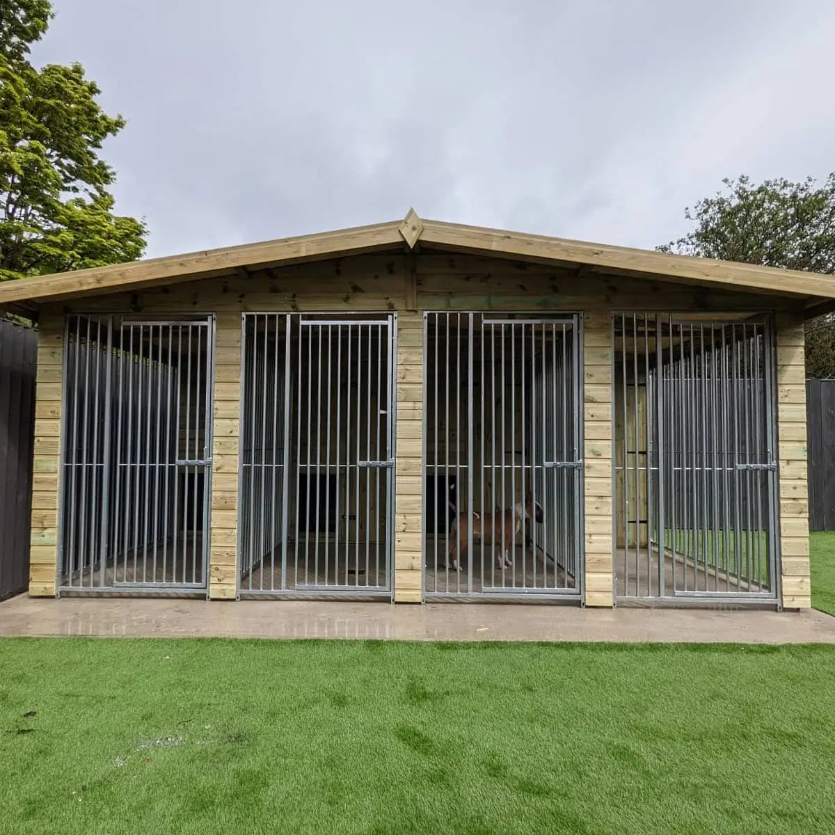 16 X 10 ft Four Bay Dog Kennel