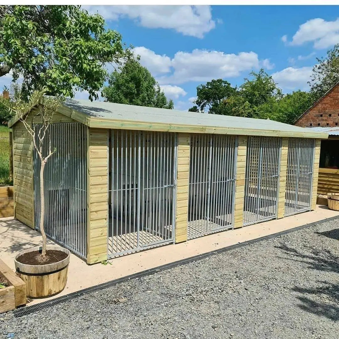 20 X 10 ft Four Bay Dog Kennel