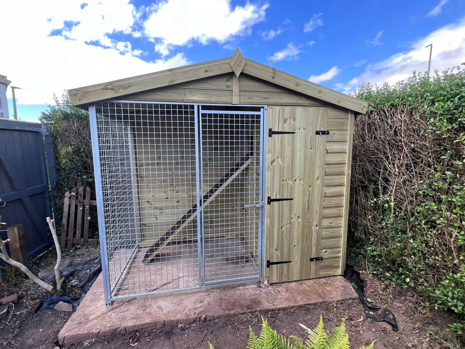 8 X 4 ft Single Cattery | Installation Included