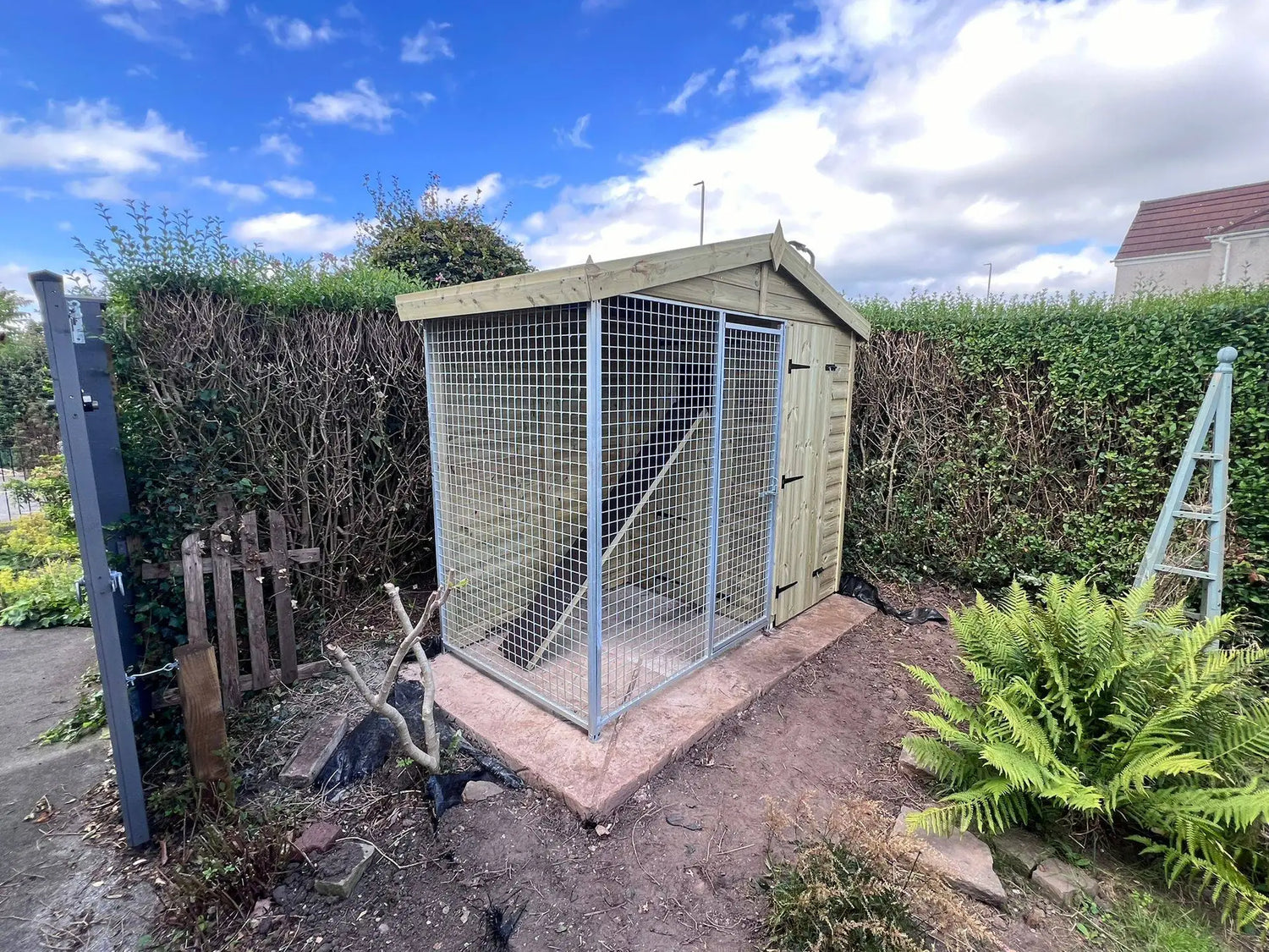 8 X 4 ft Single Cattery | Installation Included
