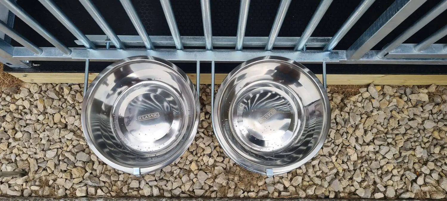 Double Dog Bowl Holder & Bowls