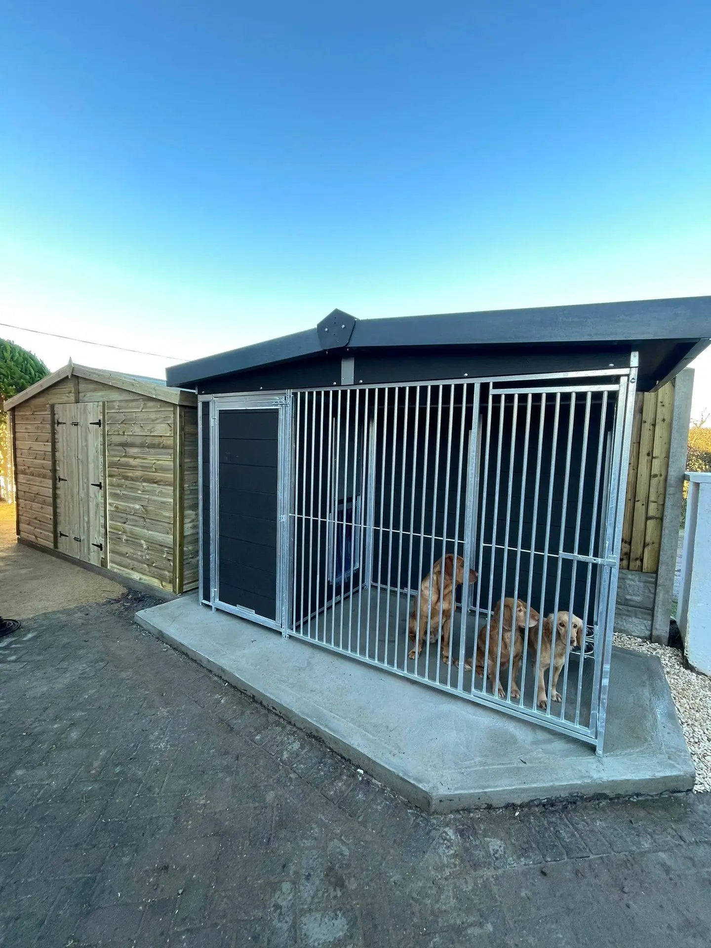 10 X 4 ft Single Eco Thermal Plastic Dog Kennel