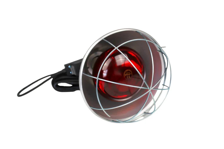 Infrared Heat Lamp Poultry, Puppies, Dog, Kittens Piglets Animals With 250W Bulb