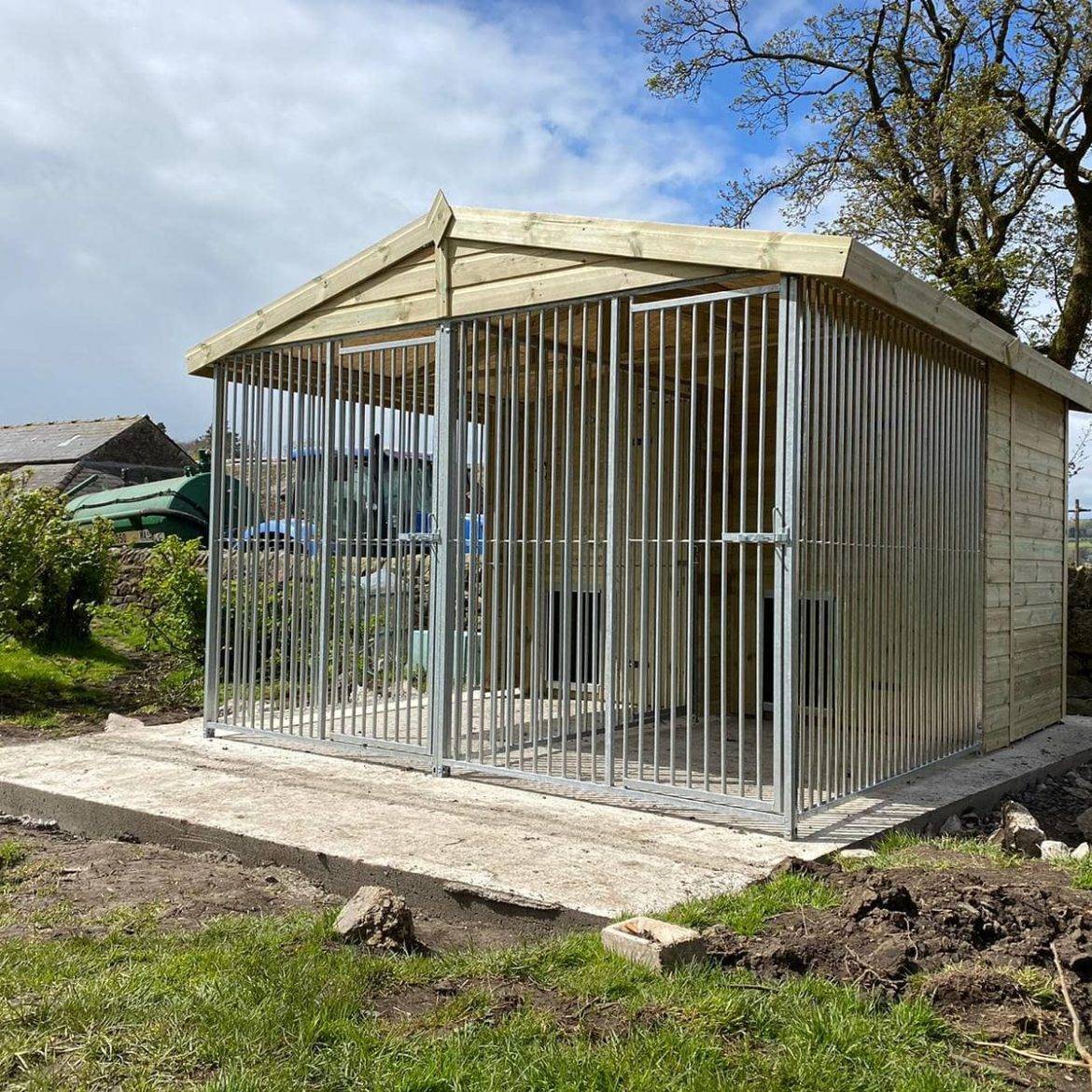 10 X 10 Ft Duo Dog Kennel Benchmarkkennels   10x10ft Duo External No Pillars 1170x1170 