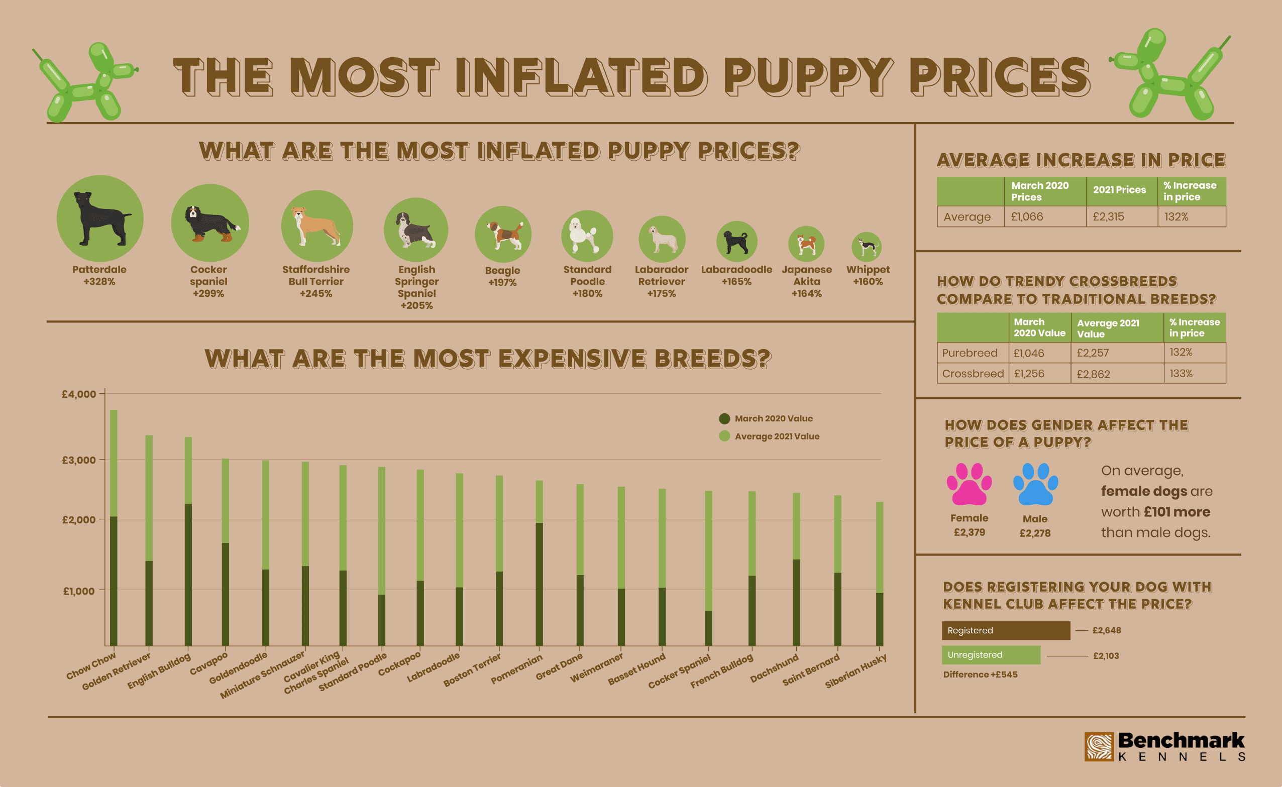 how much does it cost to kc register puppies